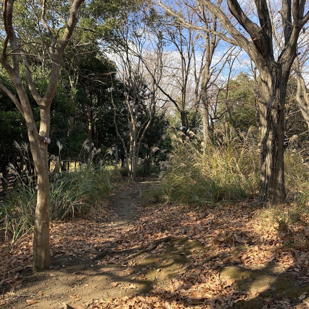 遊歩道