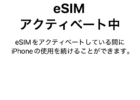 e-sim