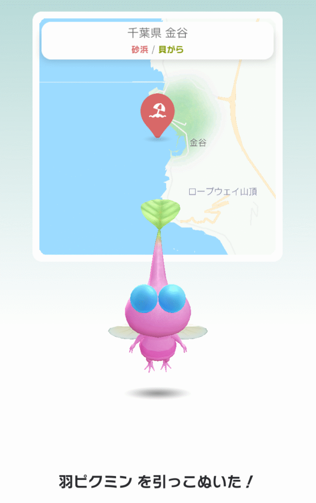 金谷のピクミン