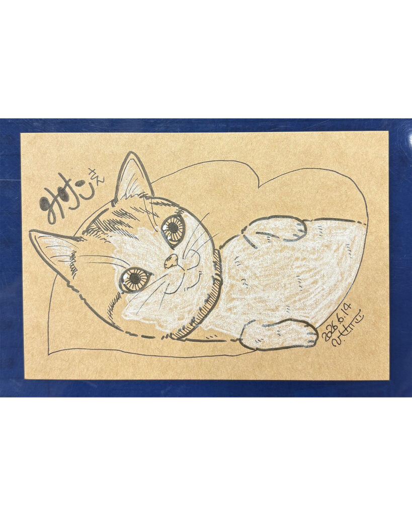 席書サンプル