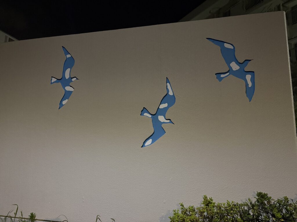 鳥