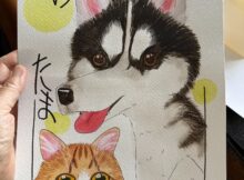 これはなんだ？