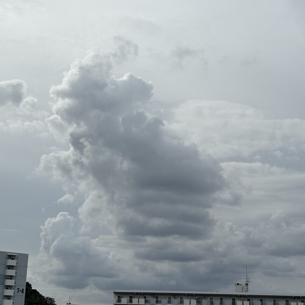 雲