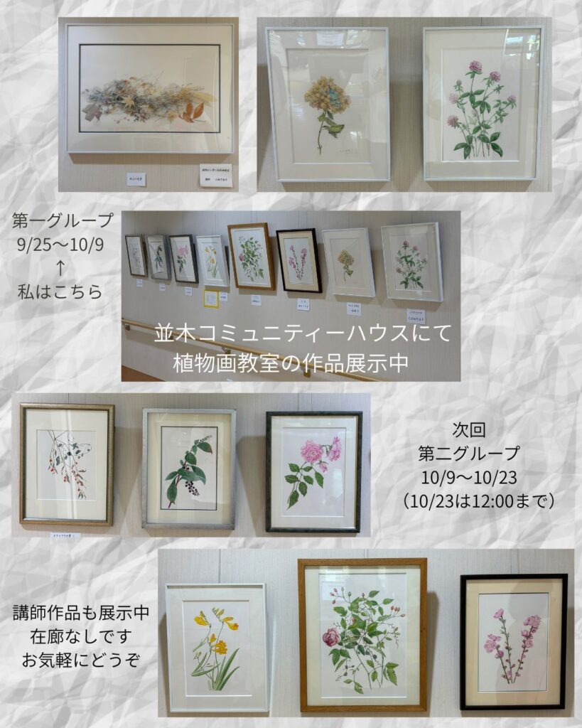 植物画教室作品