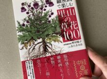 里山の草花100