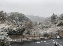 雪