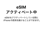 e-sim