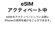 e-sim