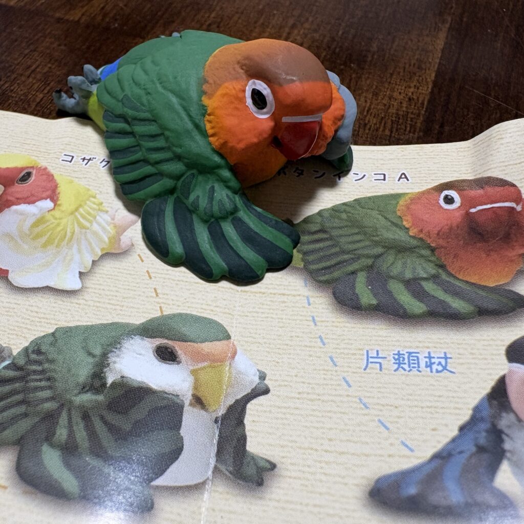 インコフィギア