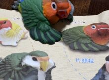 インコフィギア