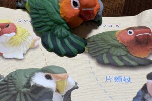 インコフィギア