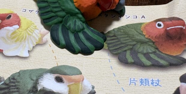 インコフィギア