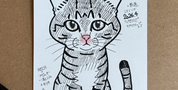 ネコ
