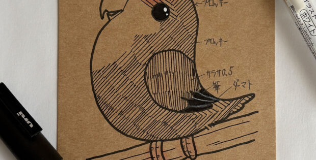 コザクラインコ