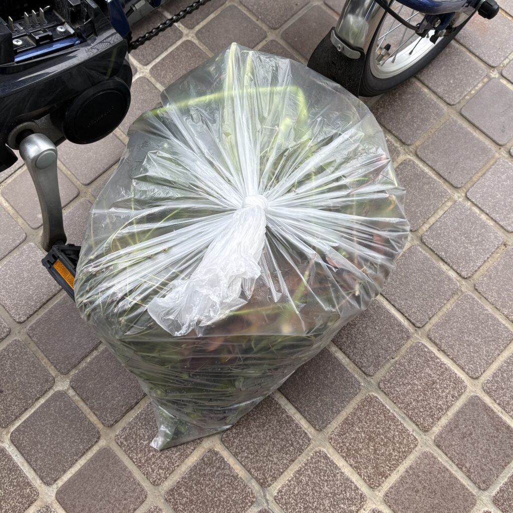 雑草