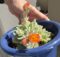 多肉ちゃんの花
