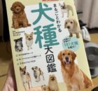 犬の本