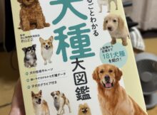 犬の本
