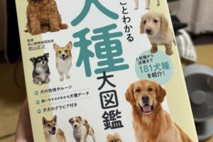犬の本