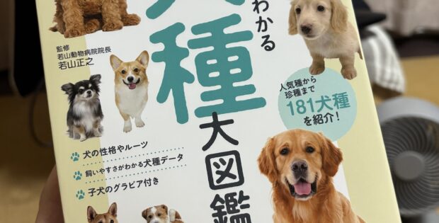 犬の本