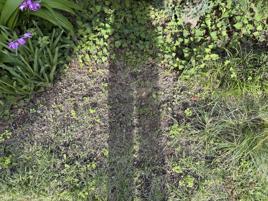 やっと作った空間