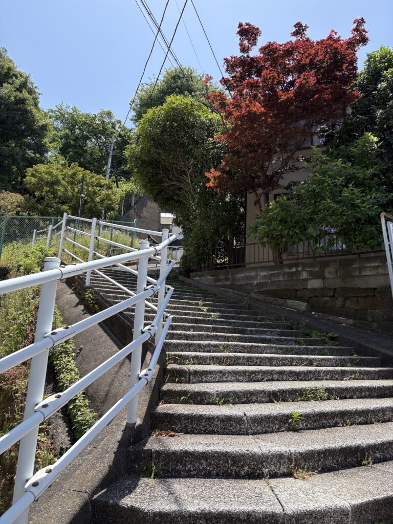 フェリス女学院に続く道