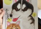 これはなんだ？