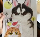 これはなんだ？