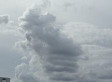 雲