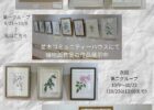 植物画教室作品