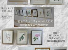 植物画教室作品