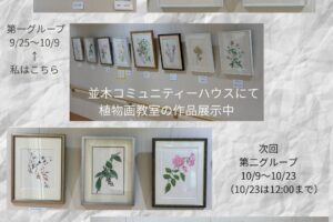 植物画教室作品